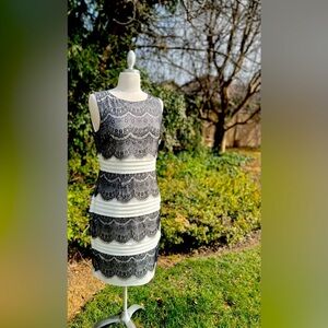 Elegant Lace Dress (dress barn )